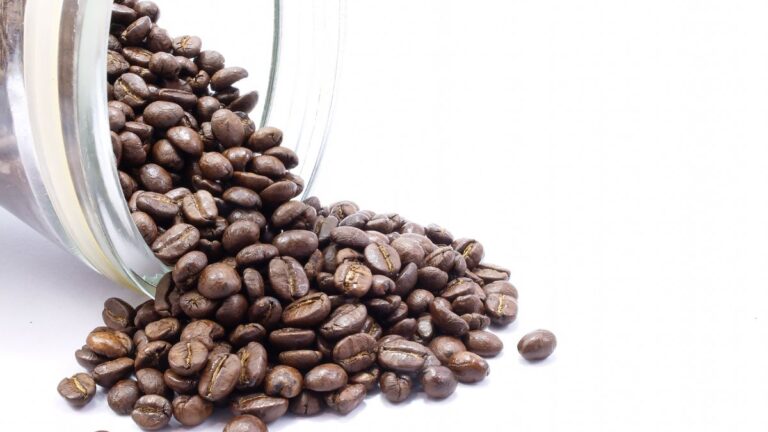 Where Does Coffee Come From